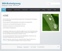 BS-Reinigung